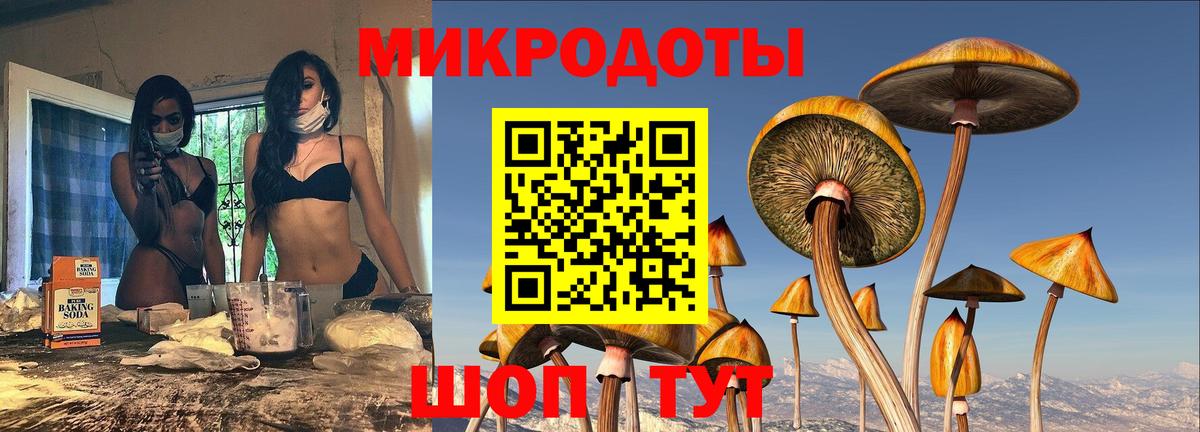 Галлюциногенные грибы Psilocybine cubensis  Вход с VPN  Псилоцибиновые грибы MAGIC MUSHROOMS  купить  цена  Таганрог 